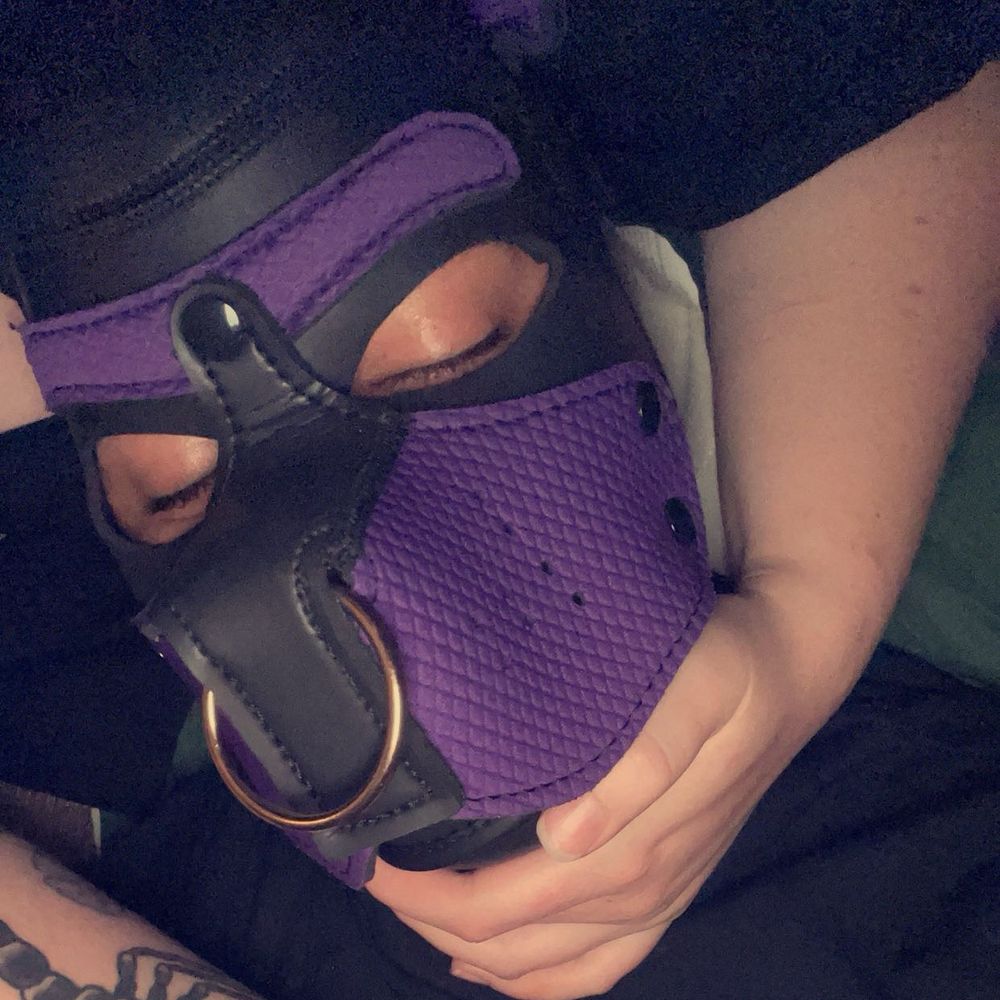 Pup Switch 🐶🐽