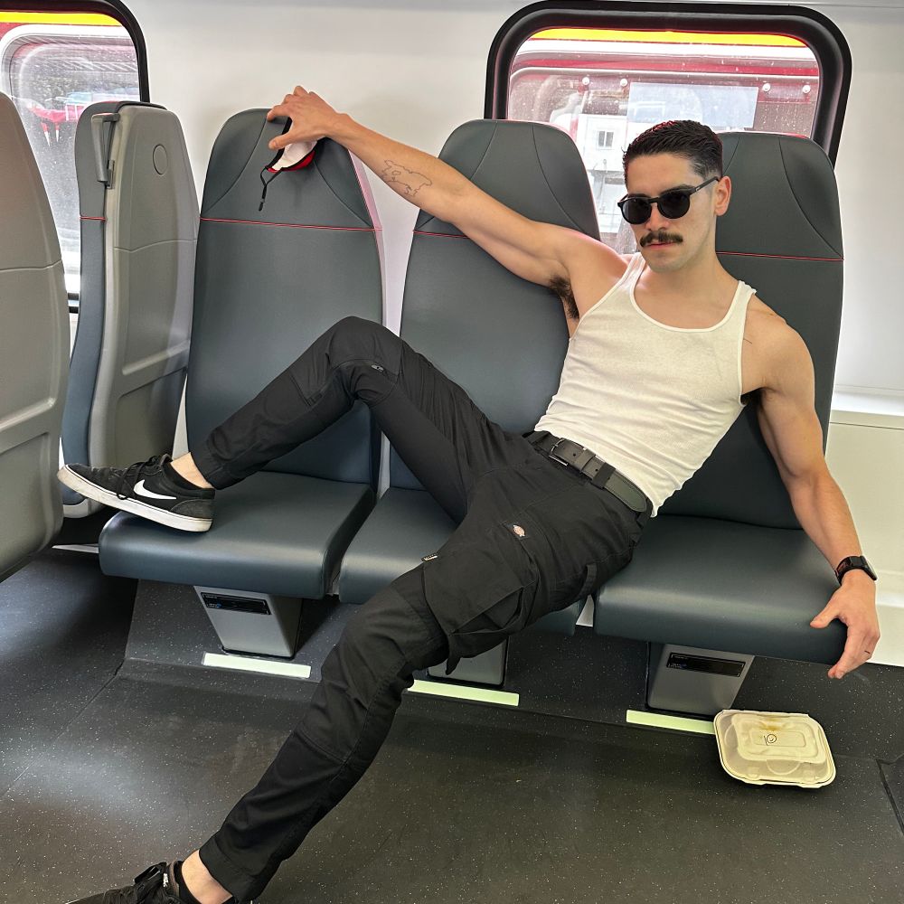 CAHSR stan (single issue voter for HSR)