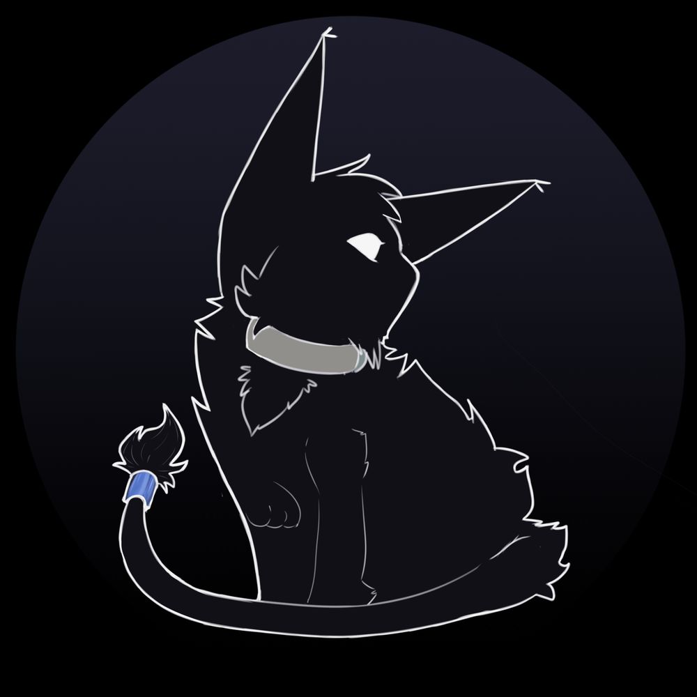 Midnight Cat