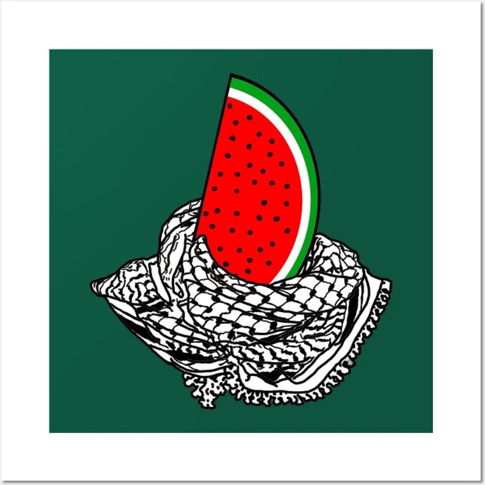Hoe Rogan🏳️‍⚧️🇵🇸