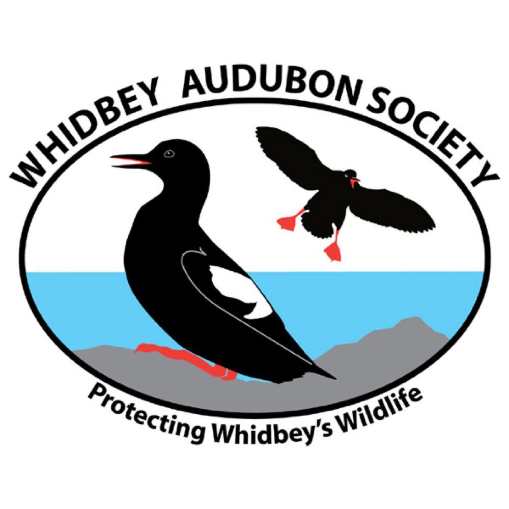 Whidbey Audubon Society