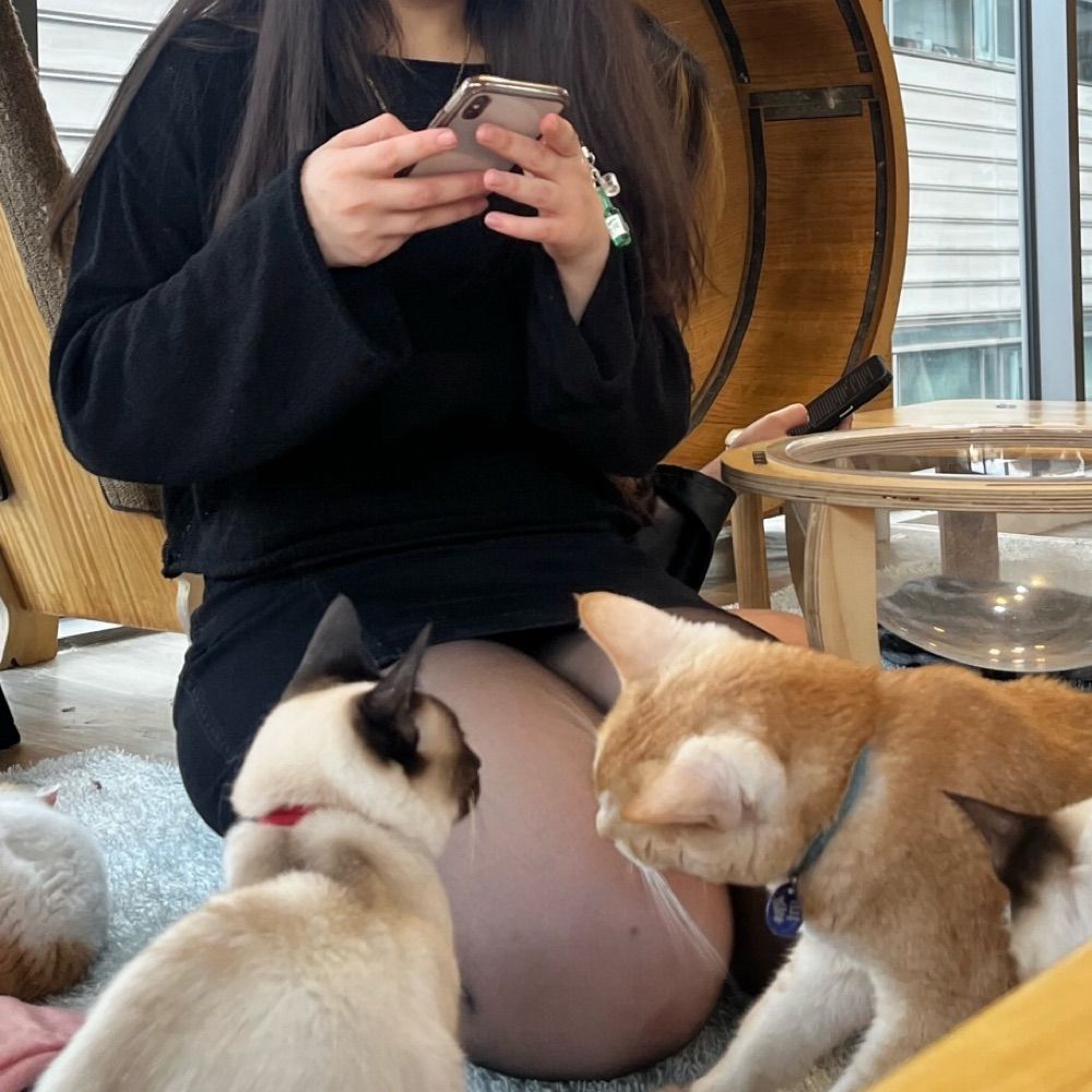 sophie