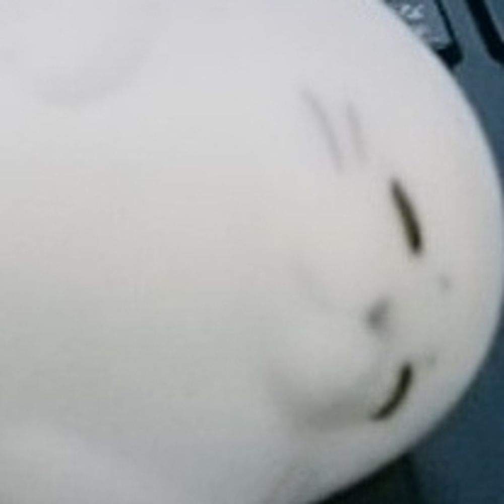 みど。