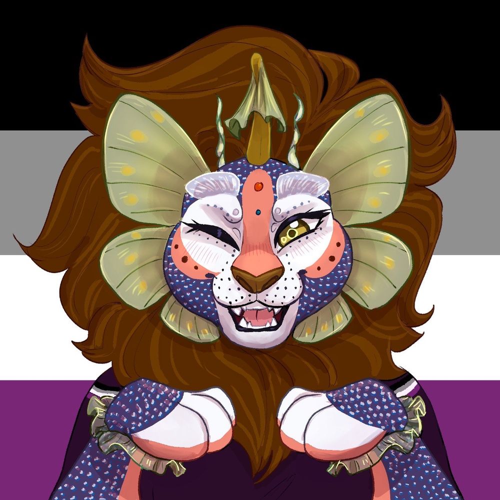 Nekona
