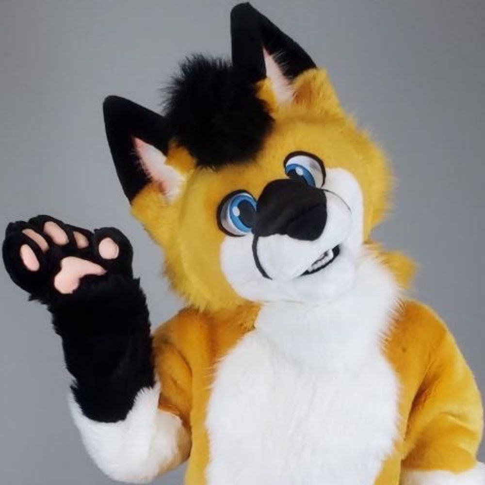 Quiet Fox
