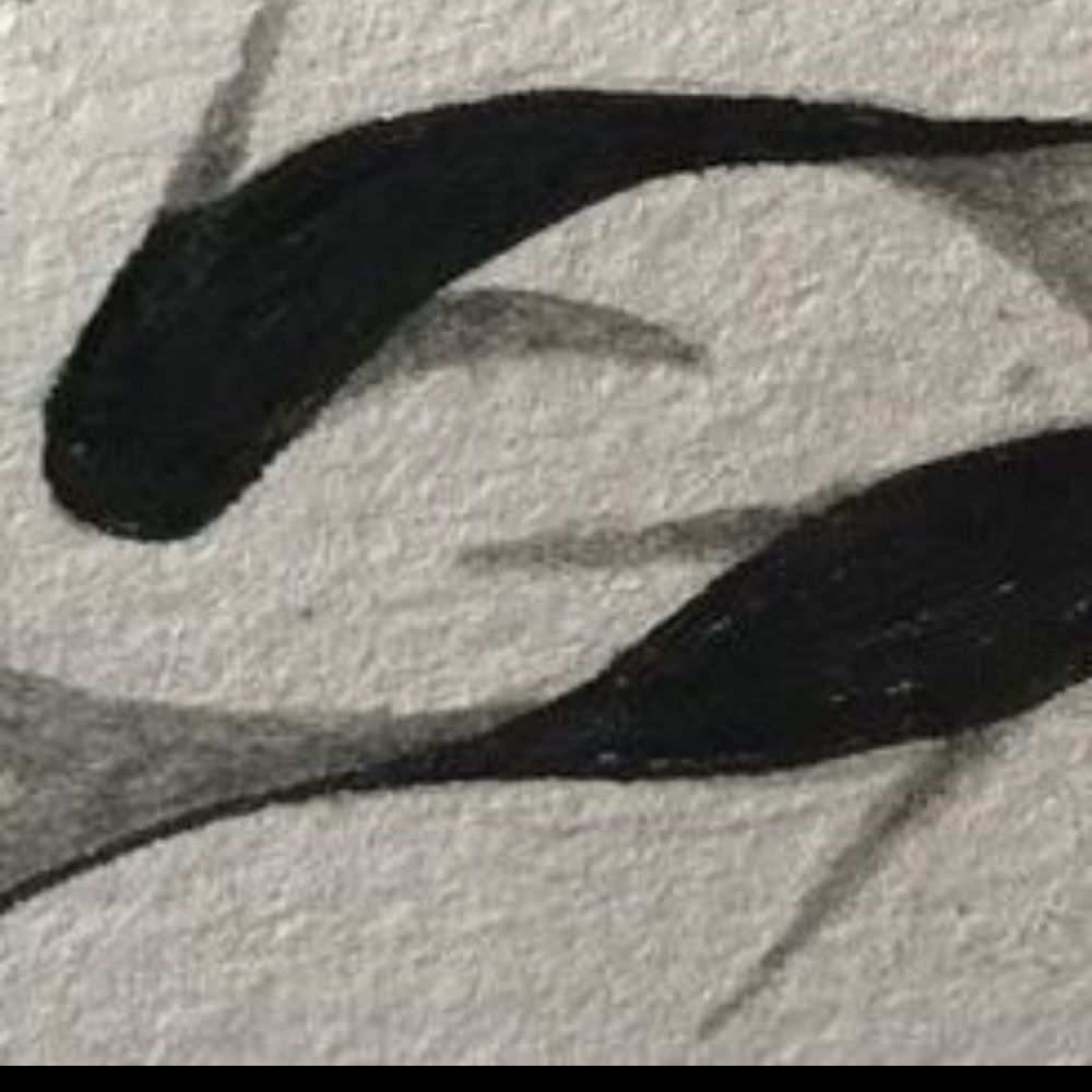 Flow