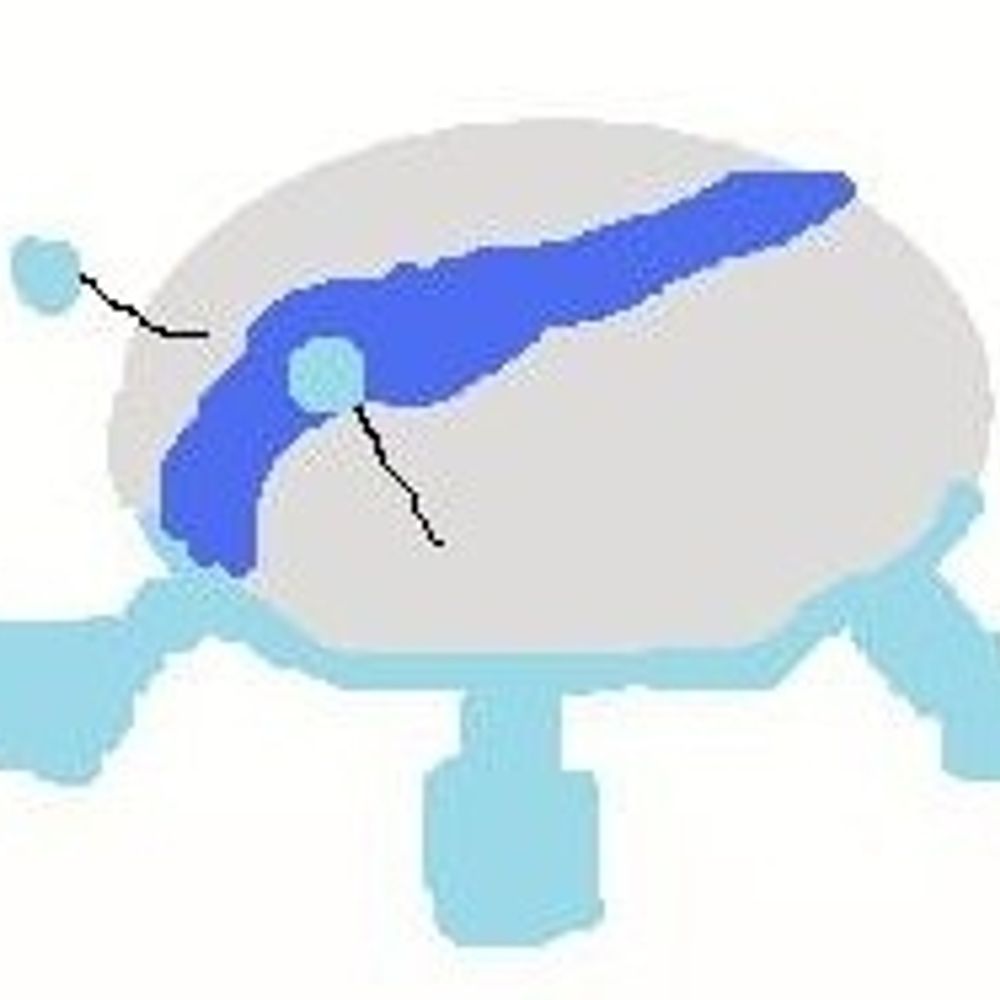 ピク忍