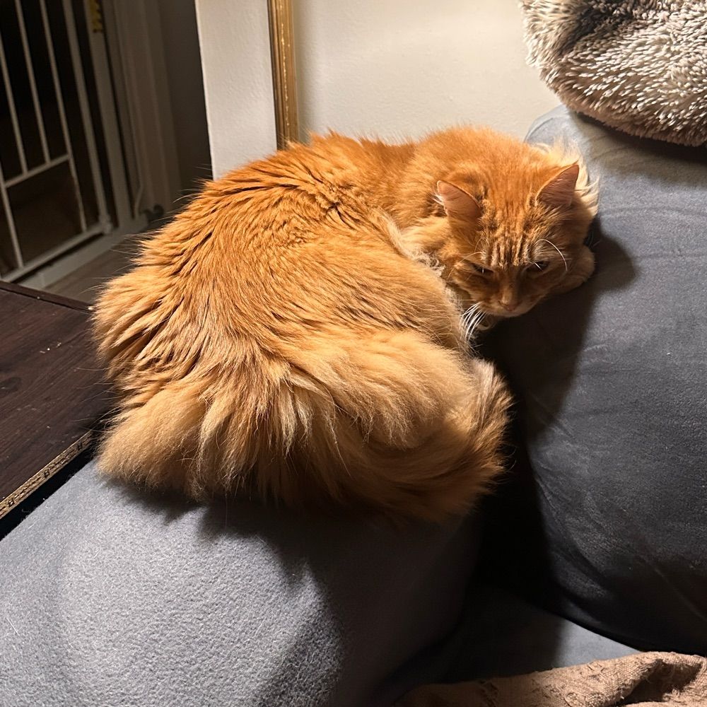 Amber