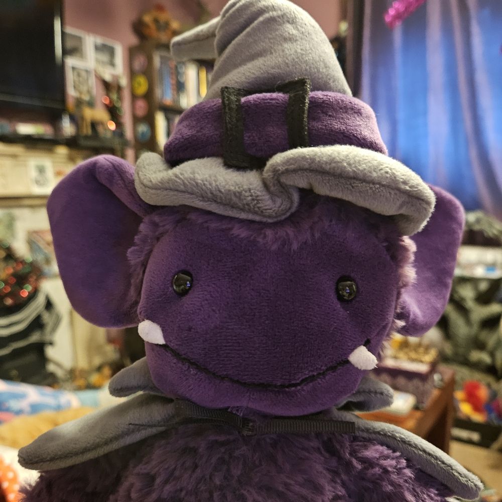 CuriousPooka