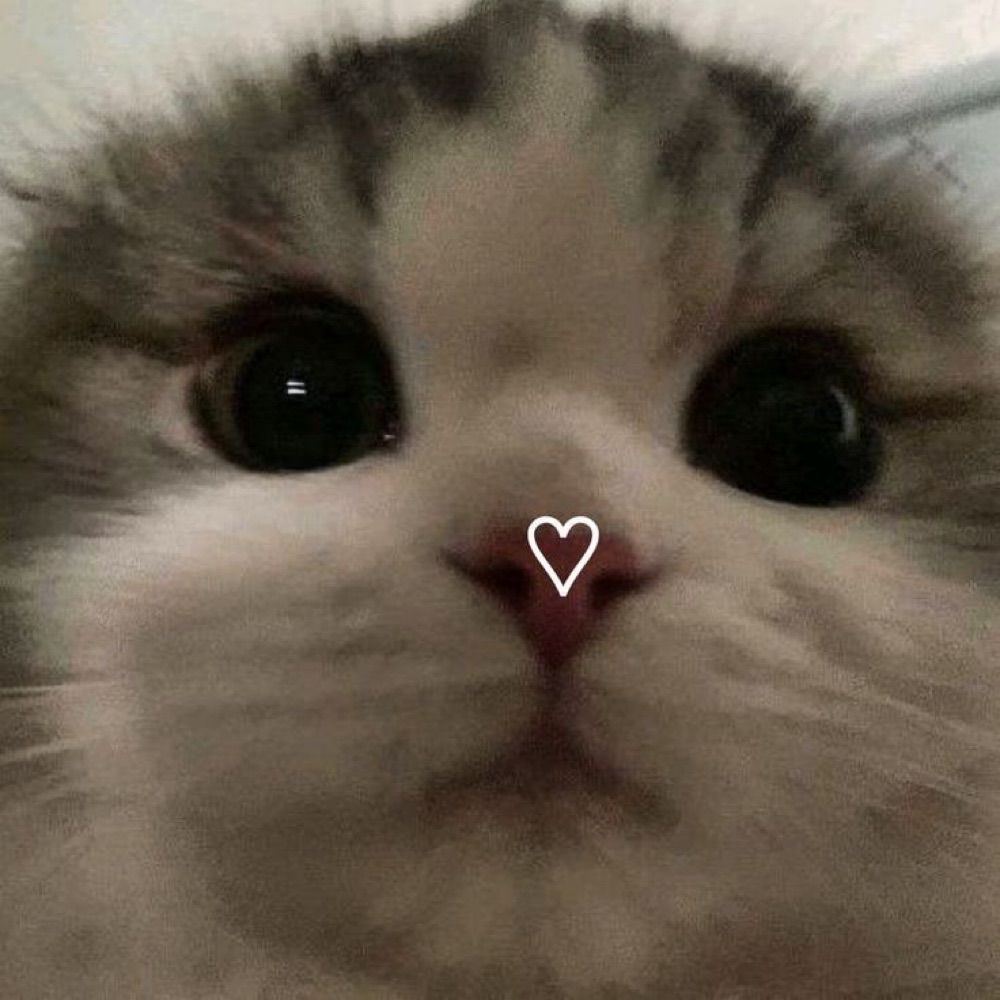 mya