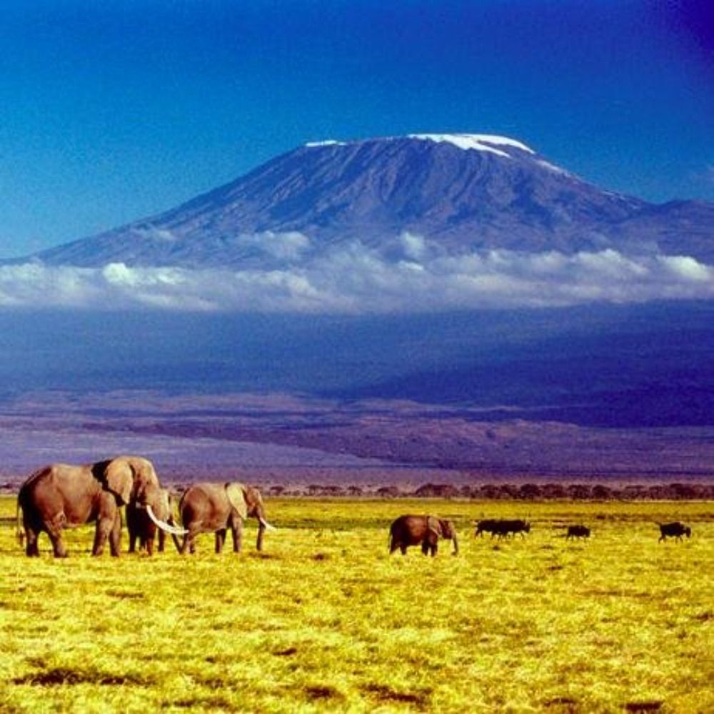 Kilimanjaro West
