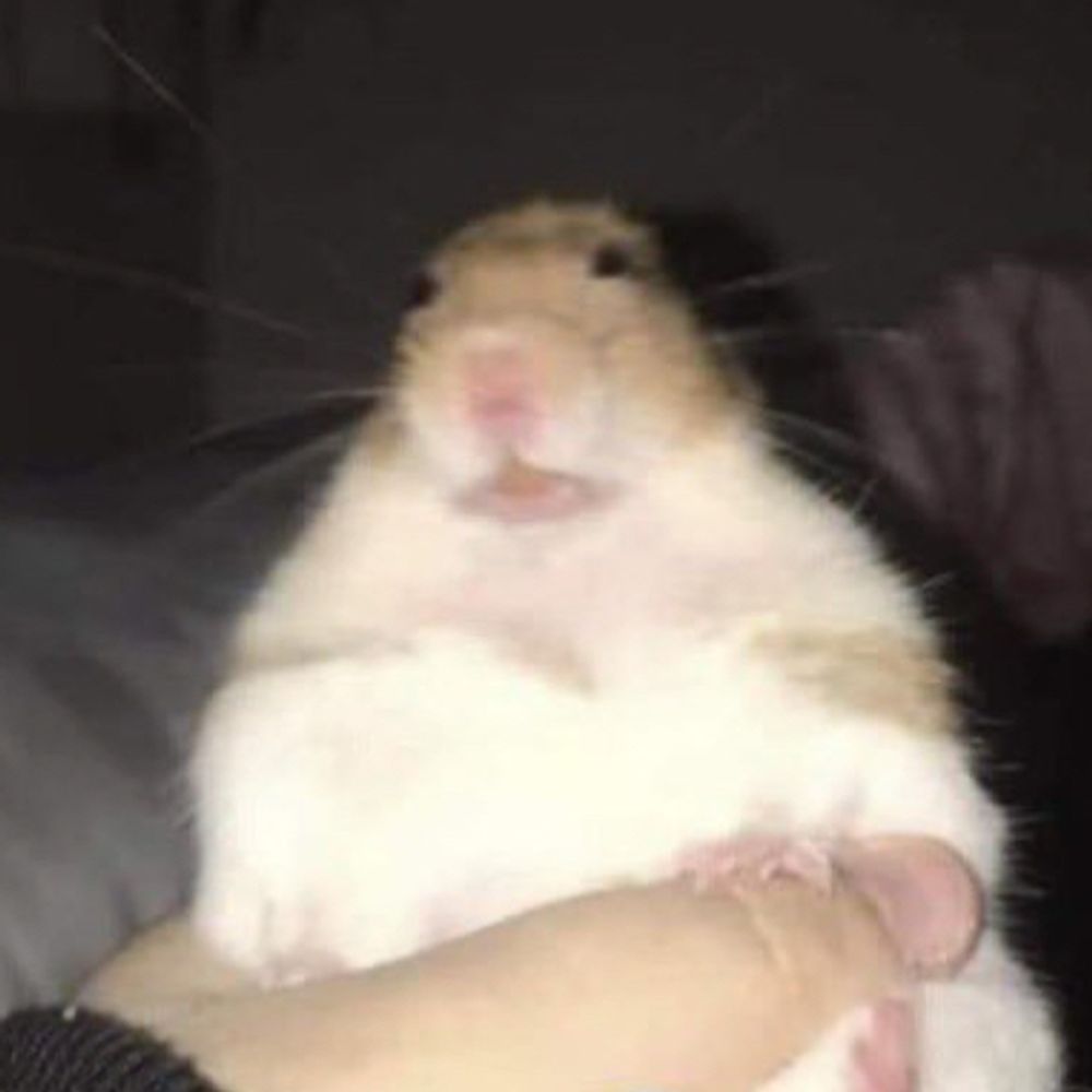 🦔jess
