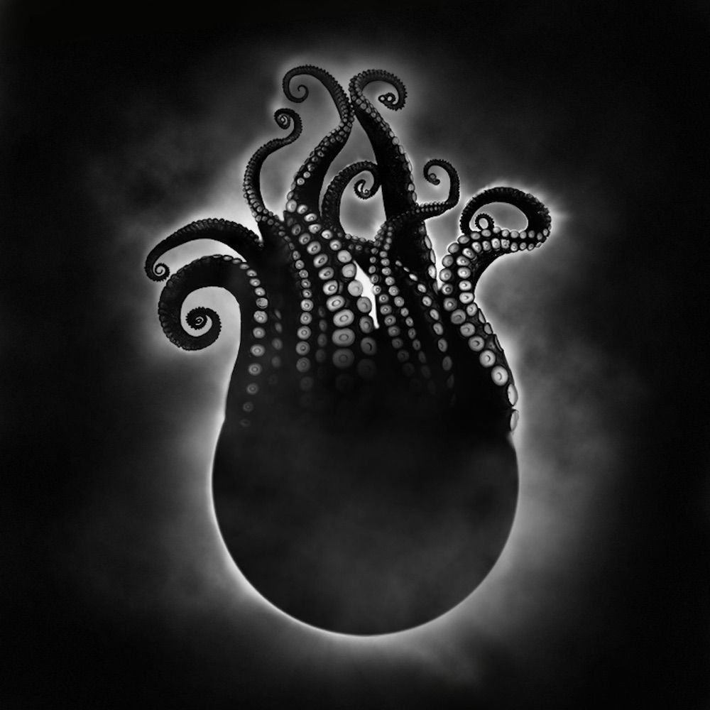 Embrace the Void
