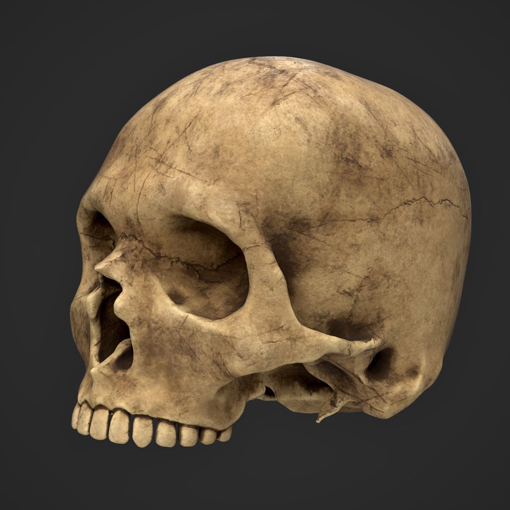 𝖕𝖆𝖙𝖗𝖎𝖈𝖐