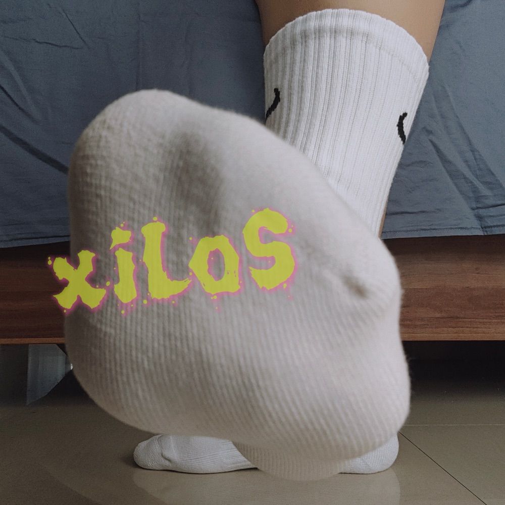 龍xiloS