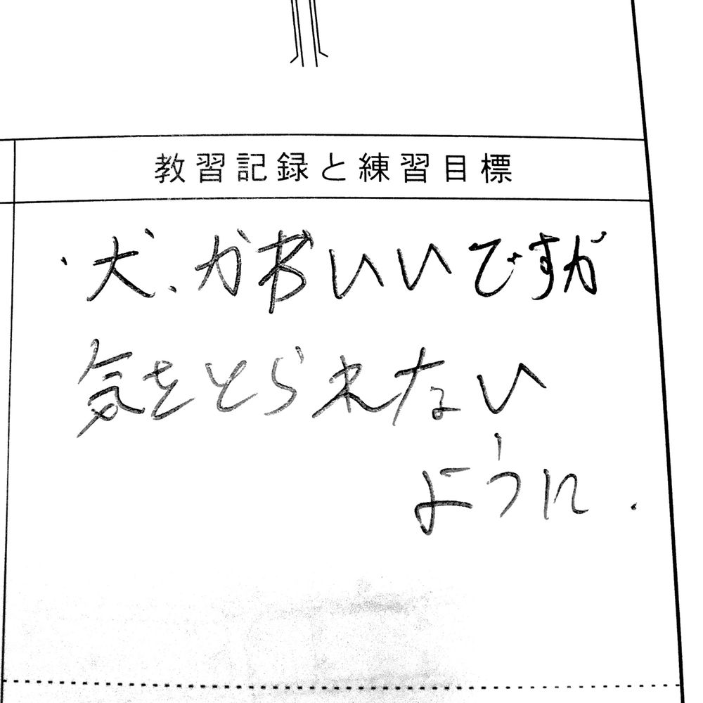୨୧いむち୨୧