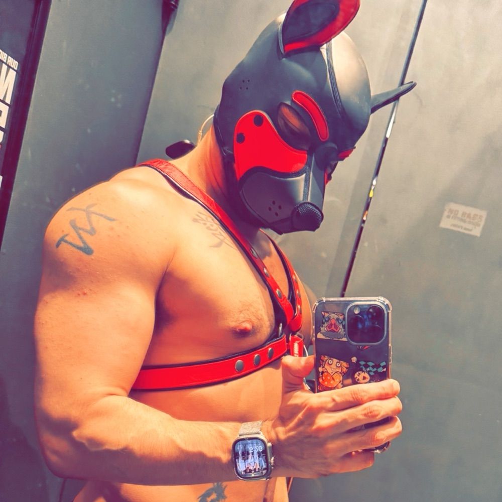 Pup Phoenix