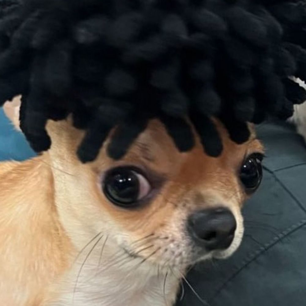 문희