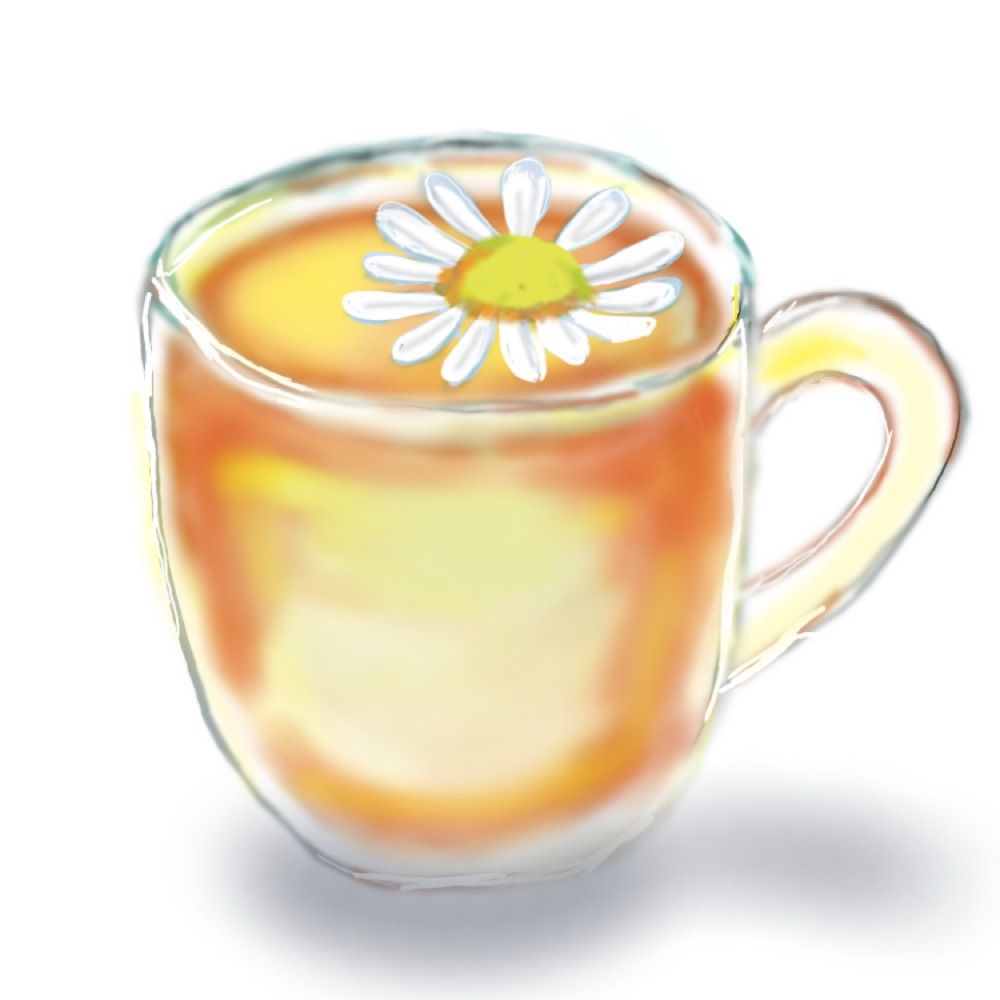 かもみーる