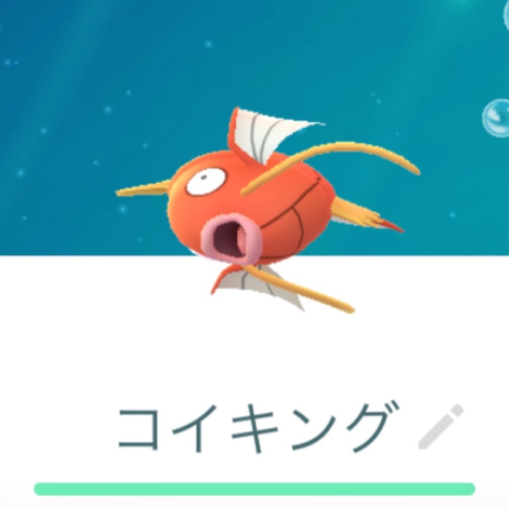 マジシャン使いのタケル⇒ ポケ活垢
