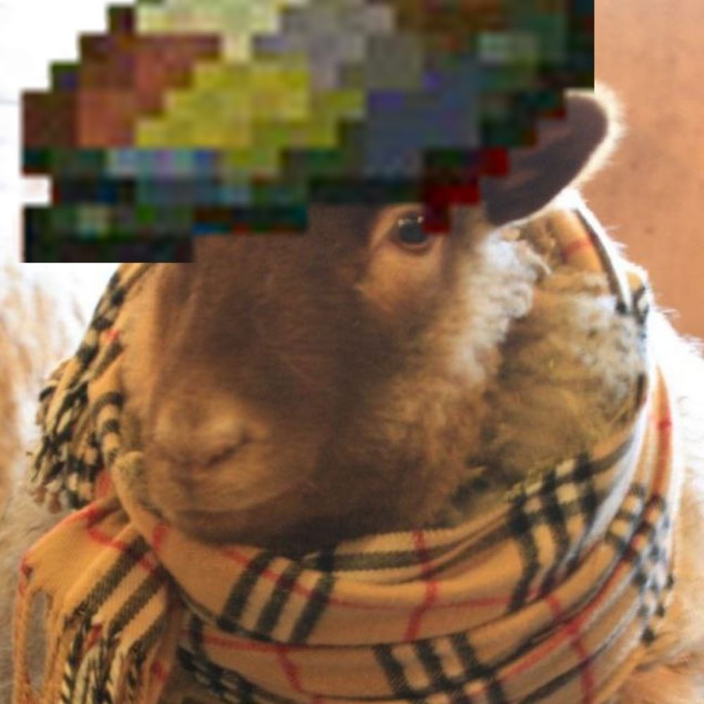 Weird Lamb