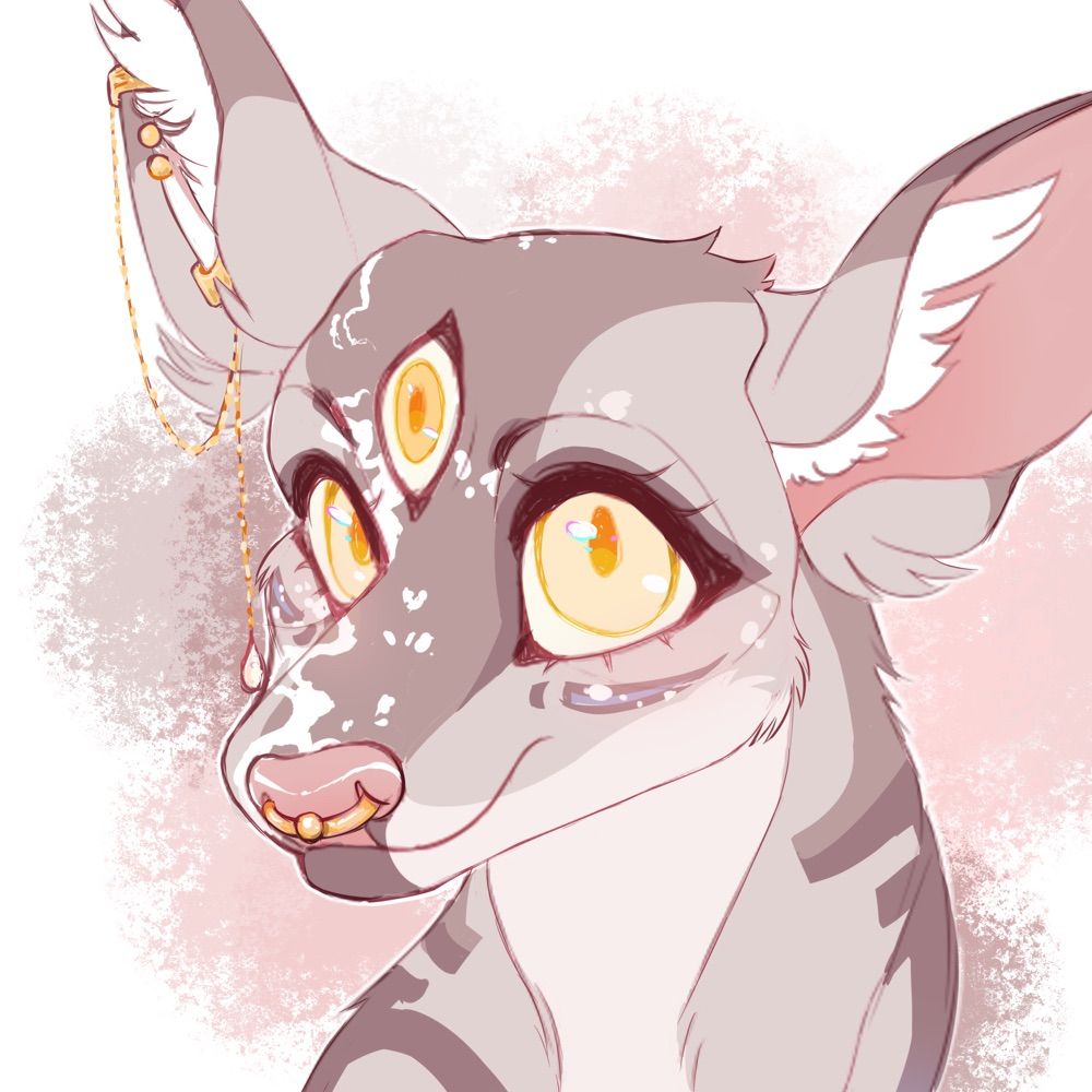 Fawn
