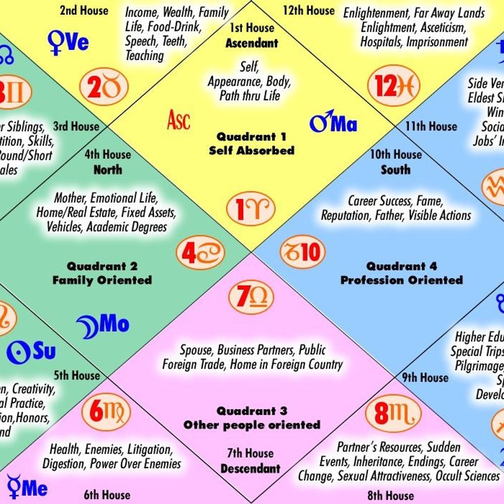 Vedic Astrologer