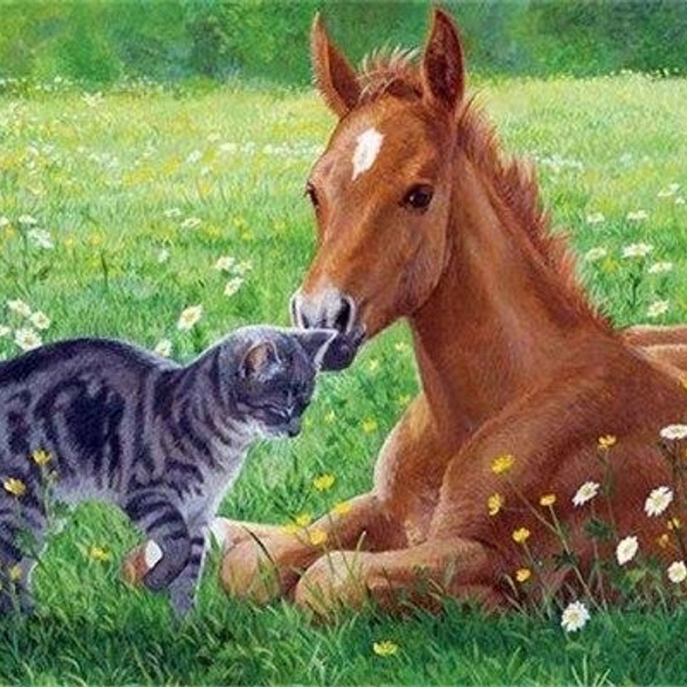    🐎𝑯𝒐𝒓𝒔𝒆 𝑺𝒆𝒏𝒔𝒆