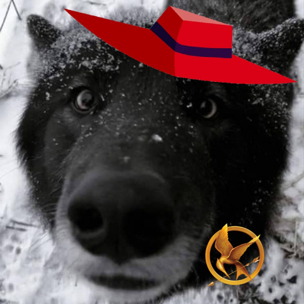 ★ Moonwatcher ★ + Ceo of Carmen Sandiego!!!!!!! :3