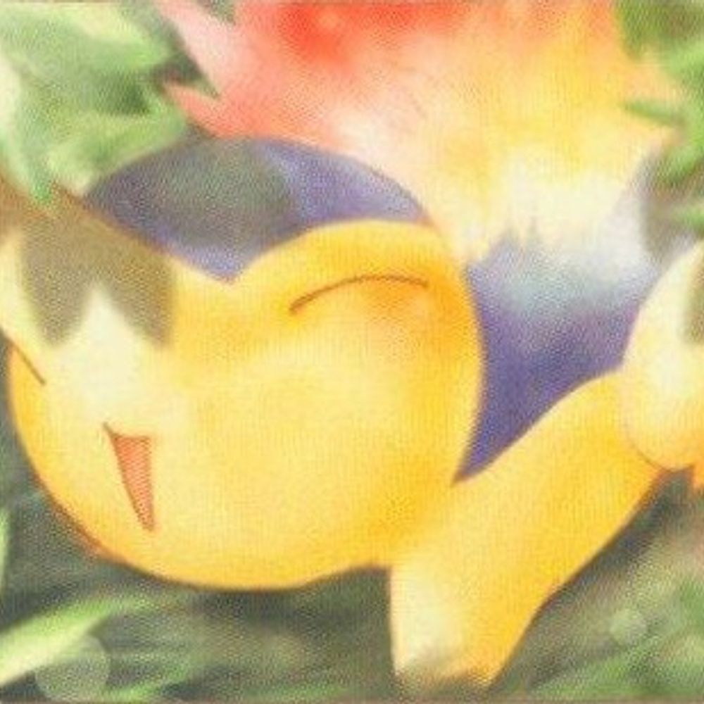 Pokémon Card Daily