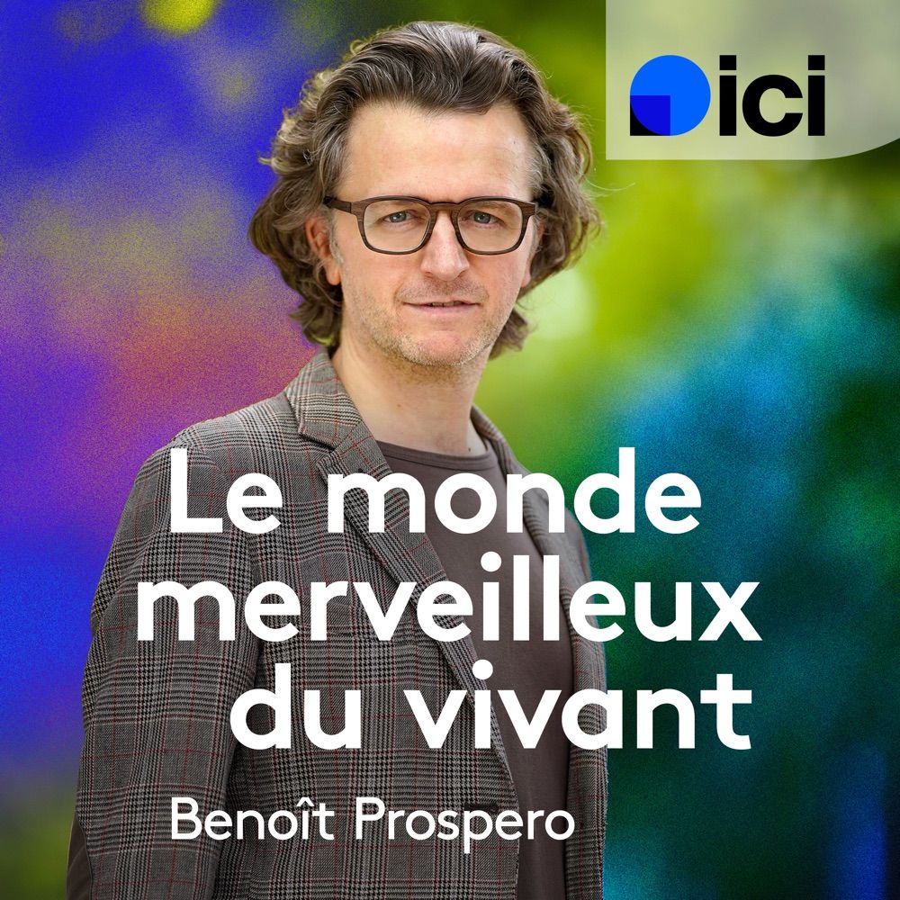 Benoit Prospero
