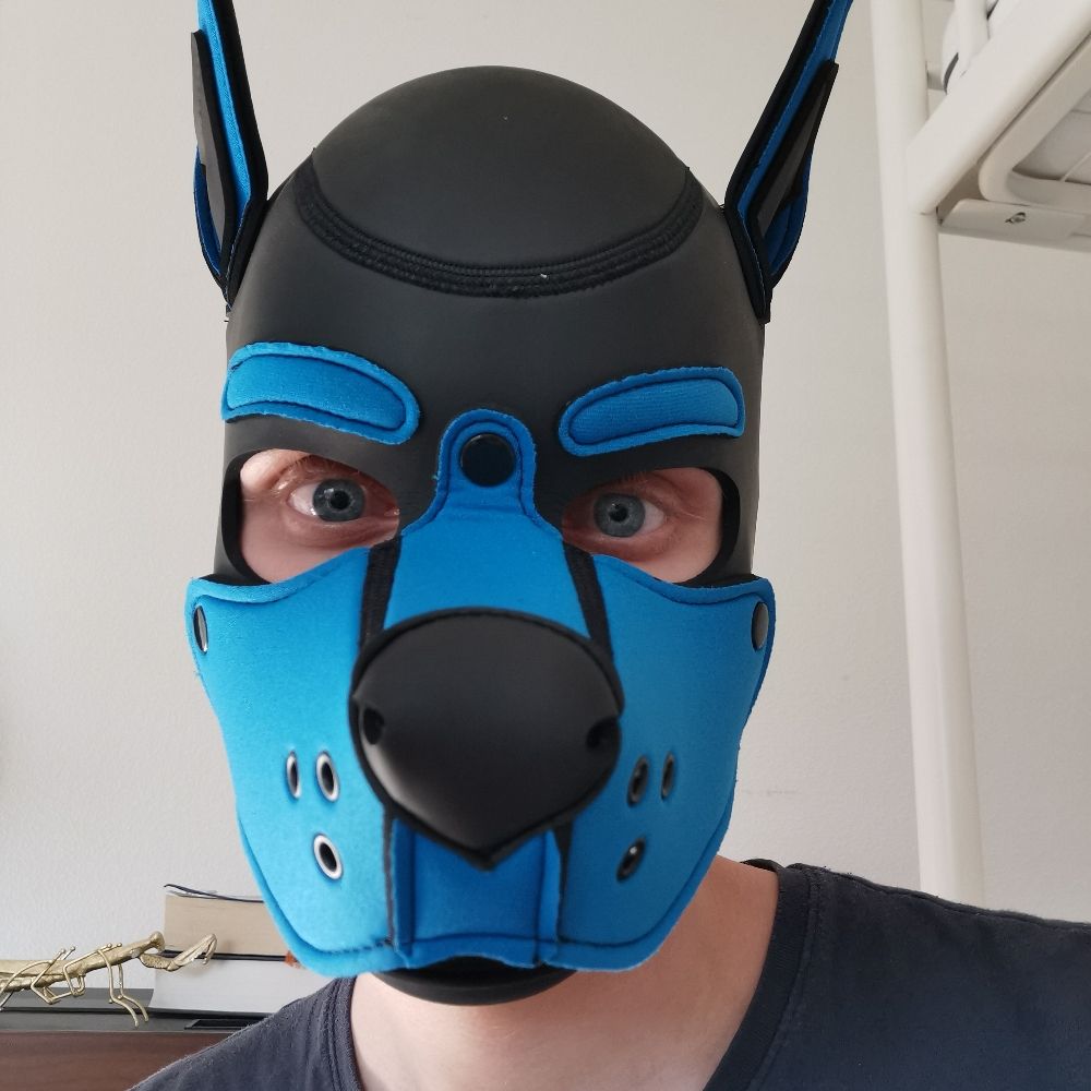 Pup Chaser
