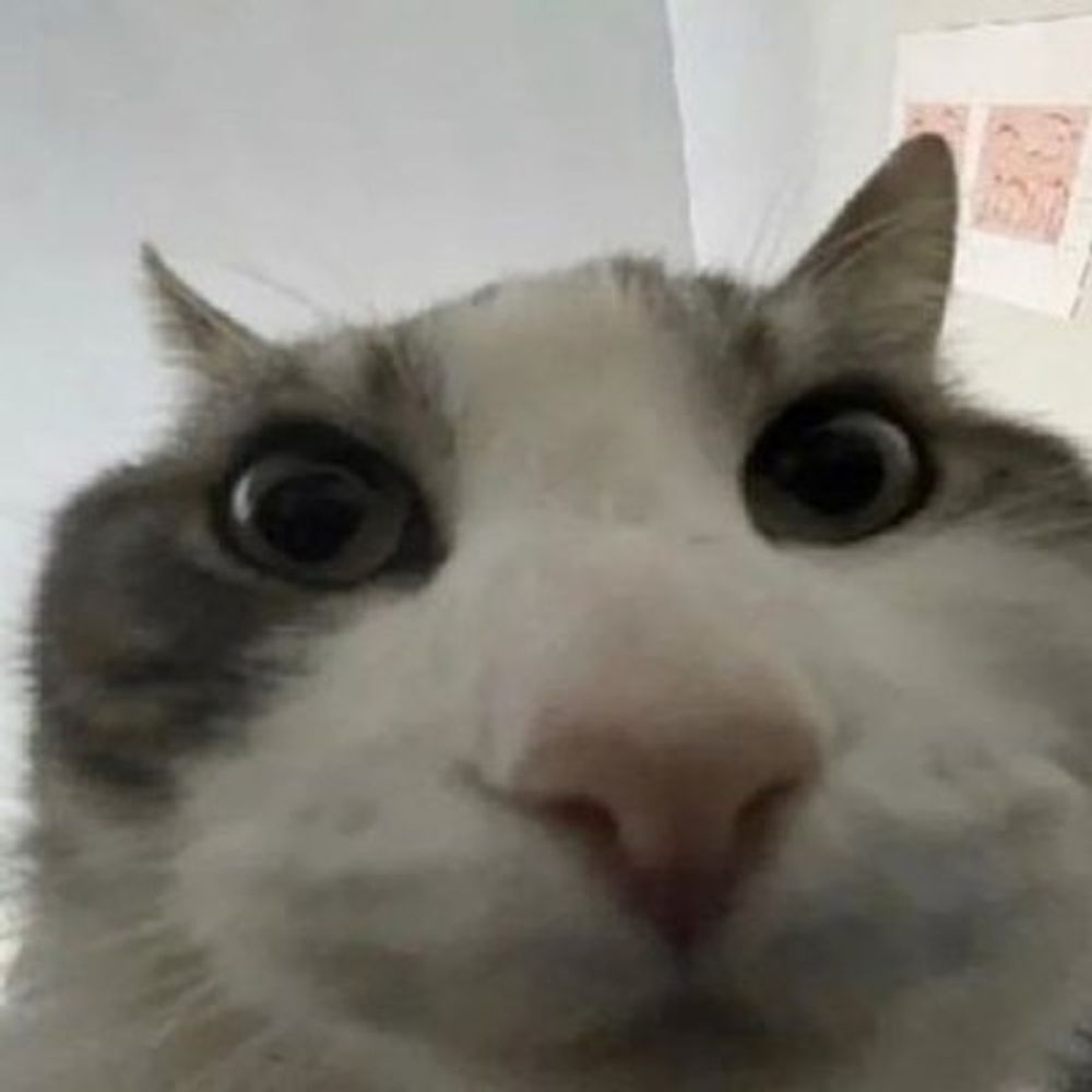 🐰𝖆𝖓𝖉𝖗𝖊𝖆