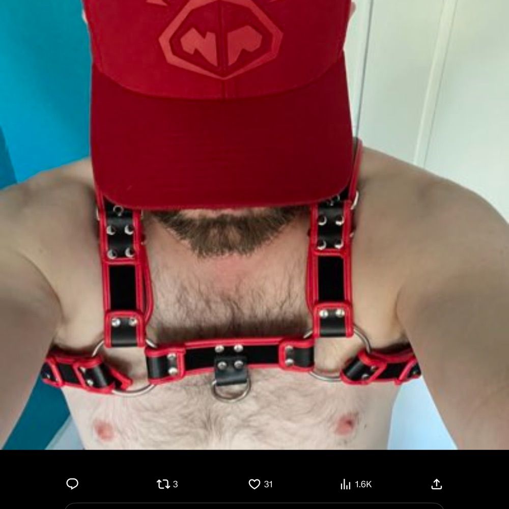 Clcumpig123