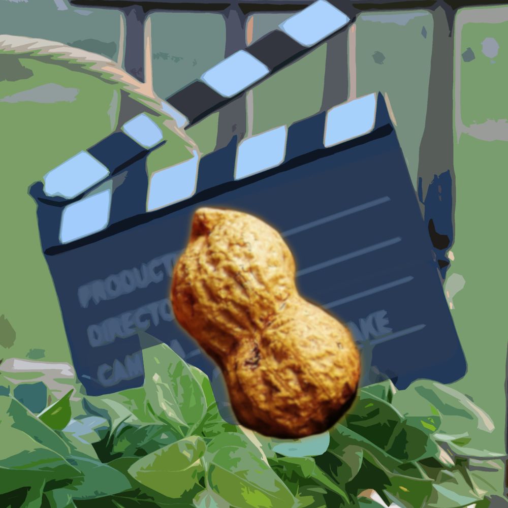 Nikki VA 🎙 | Peanut Productionz 🥜