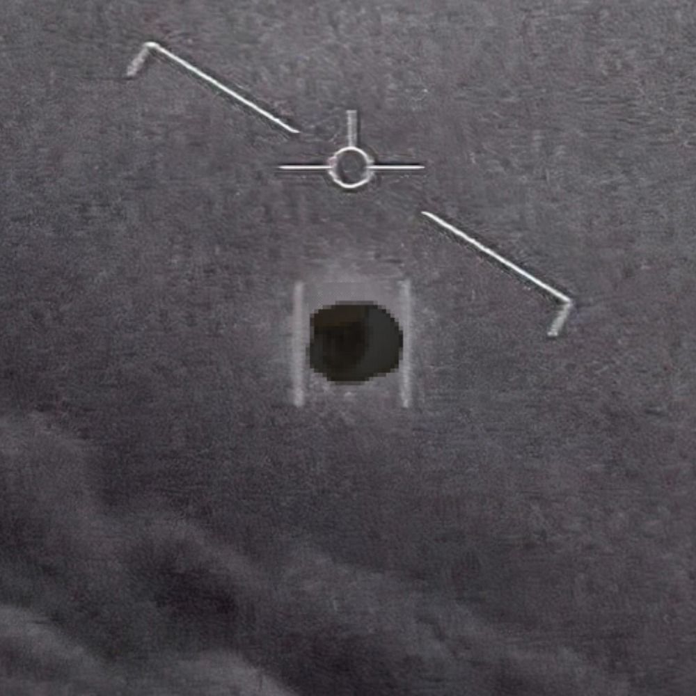 Unidentified Aerial Rabbit