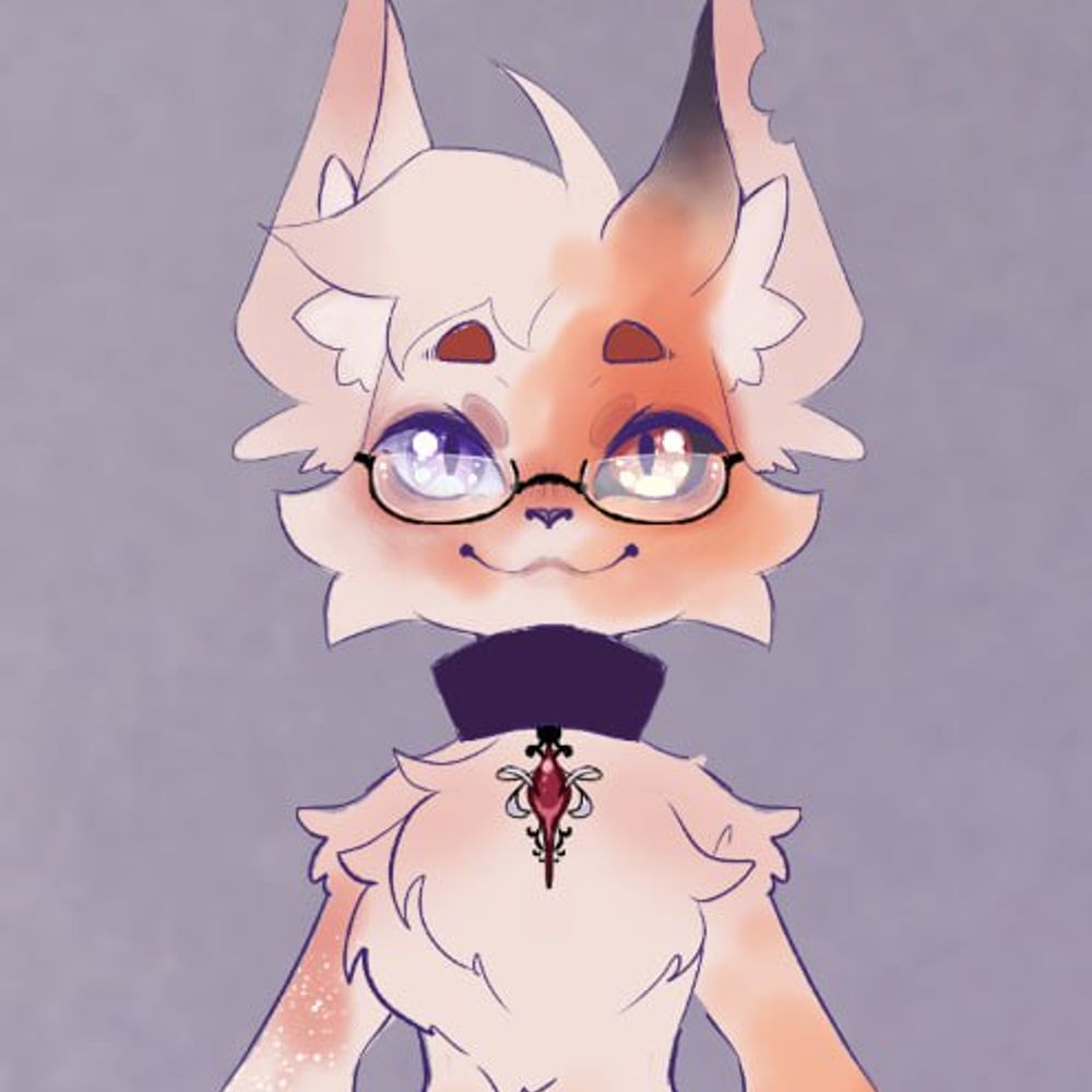 Shelvert0001
