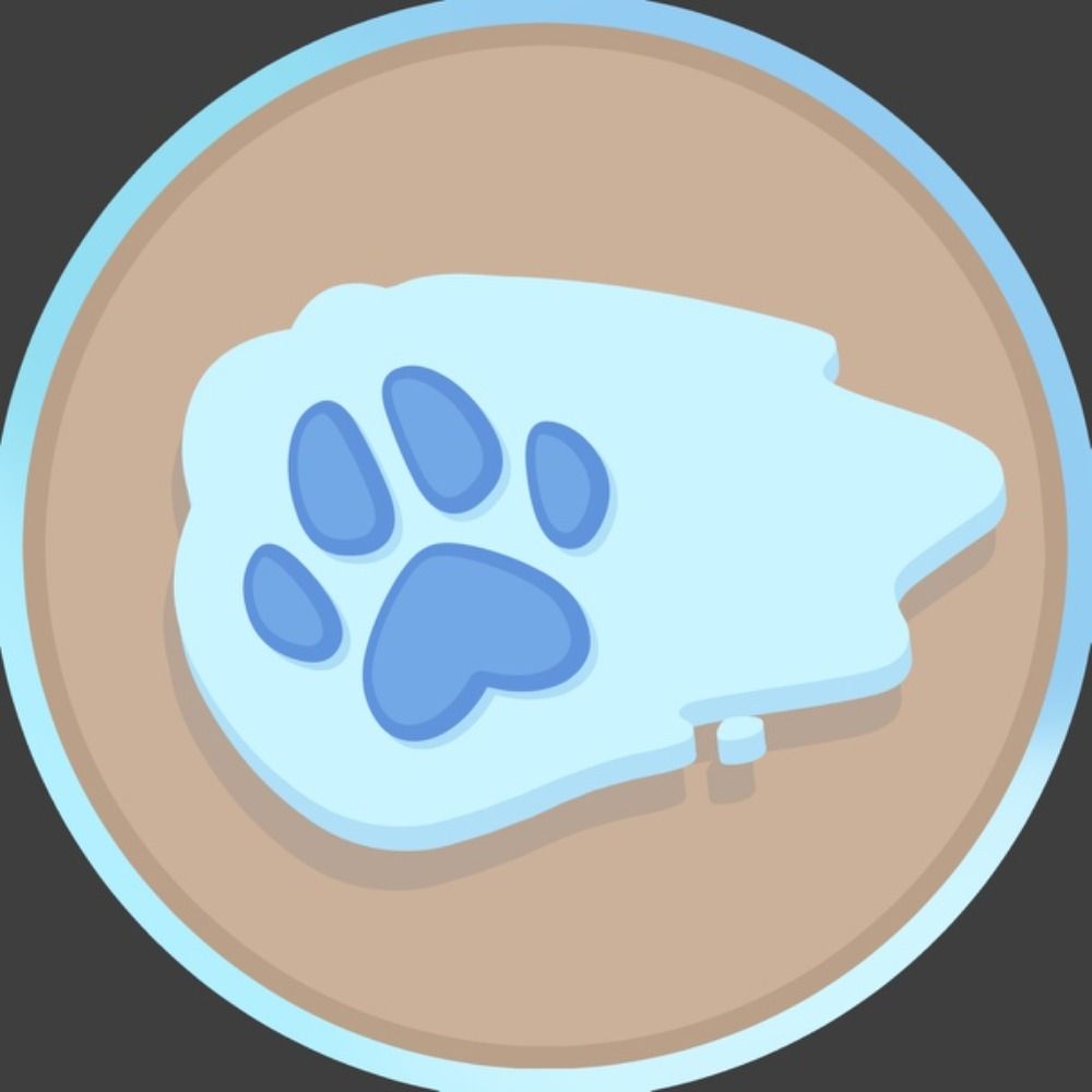 Splashy Paws Studio