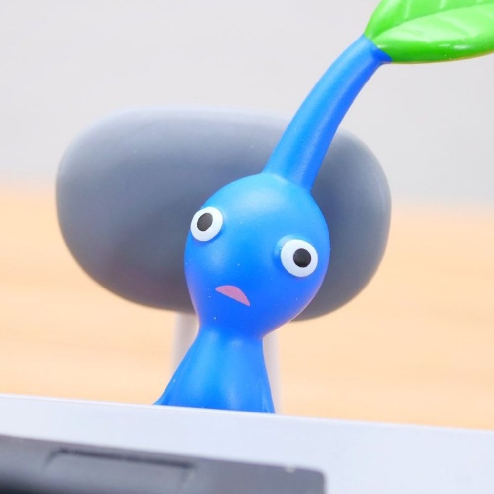 딩당레이디