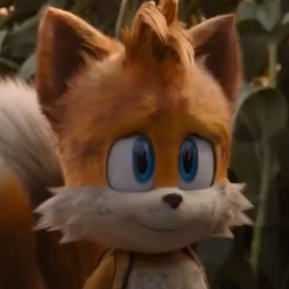 Matt (Average Tails Enjoyer)