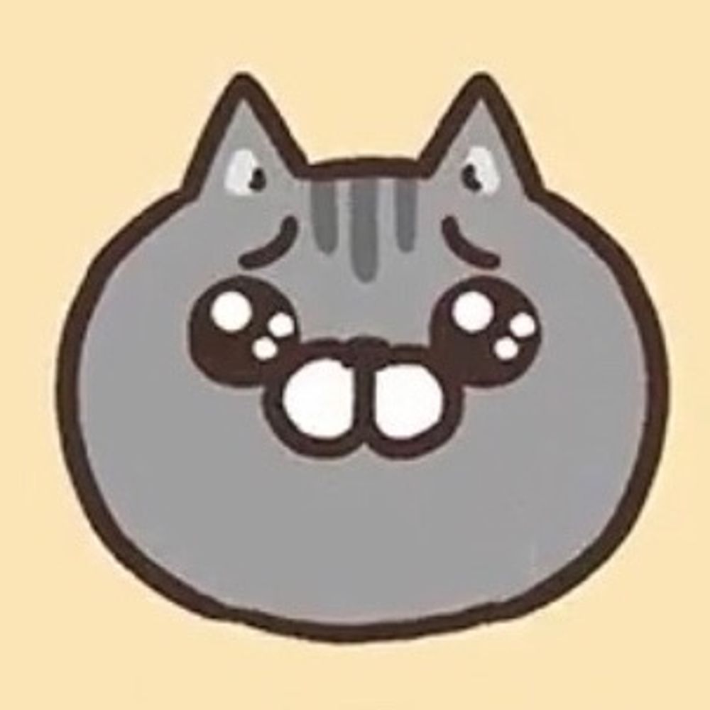 矢沢猫吉🎯😺