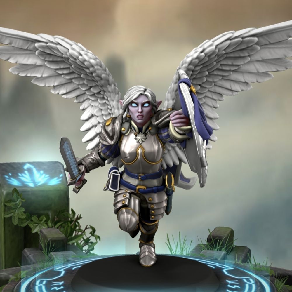 Mystic Paladin