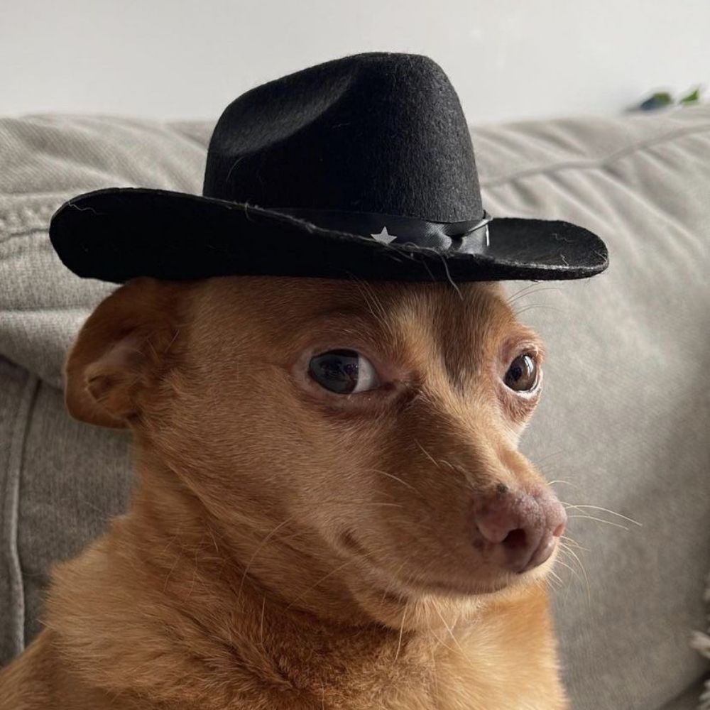 nay