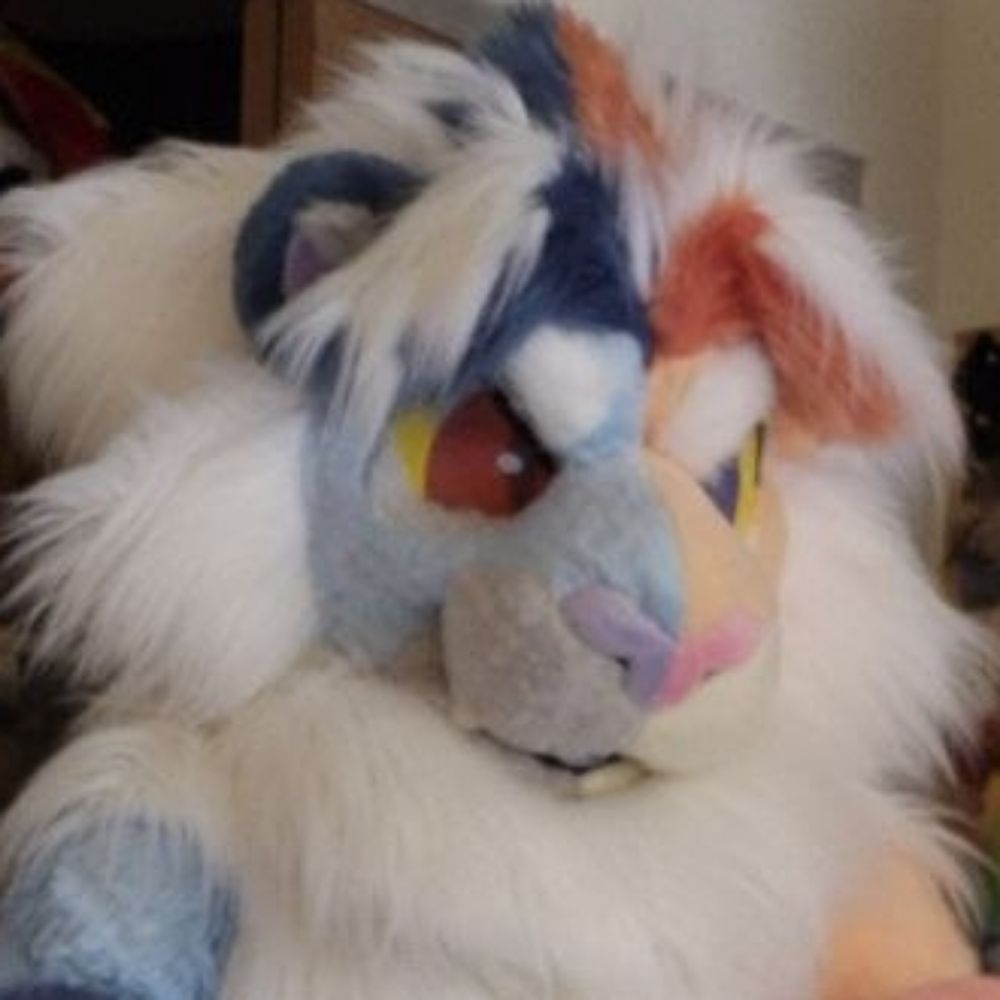 Jey Husky