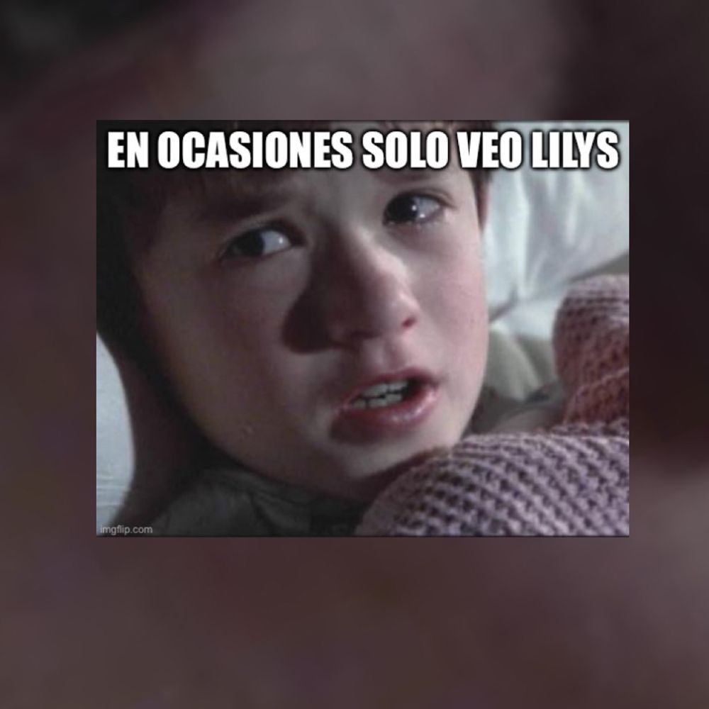 Asociación de Afectades de Lily