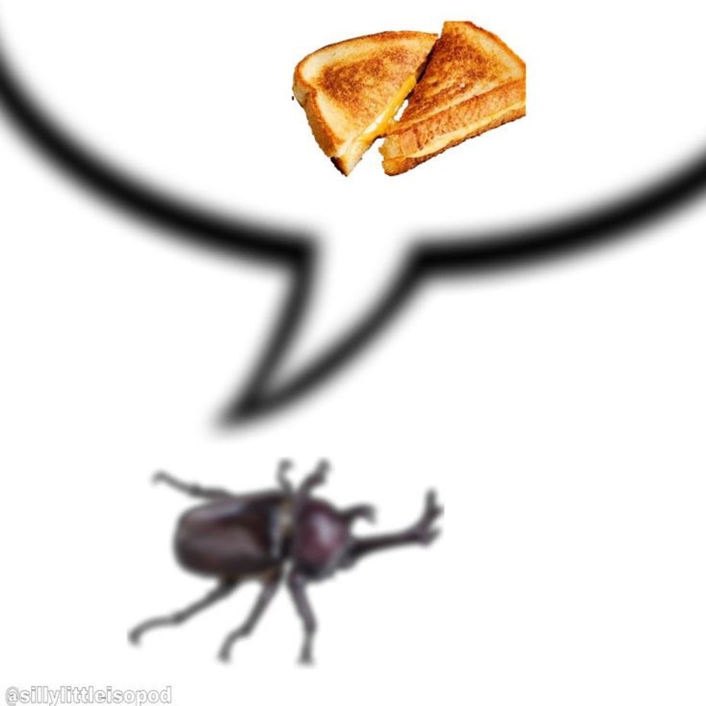 gue