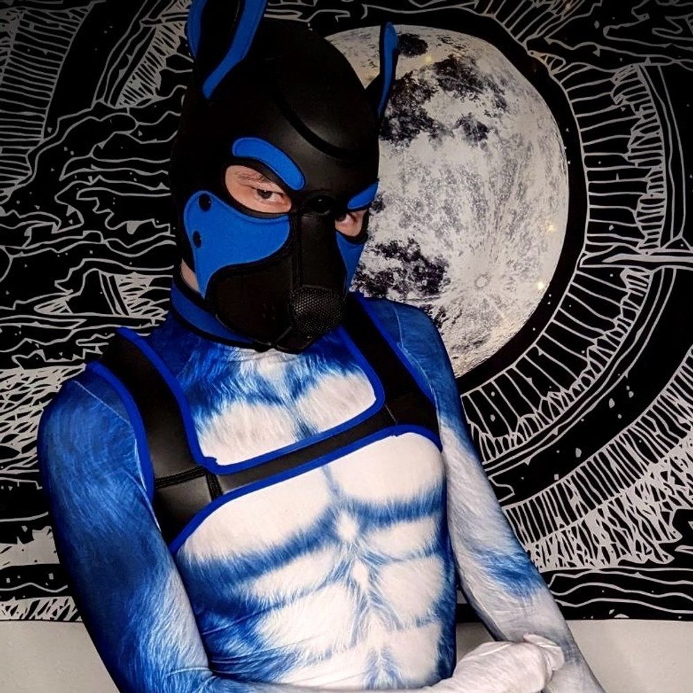 Pup_Mæx