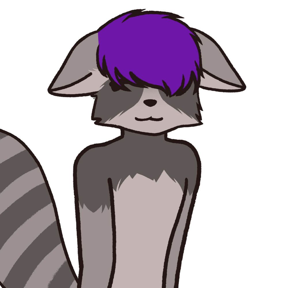 Skylar, Raccoon