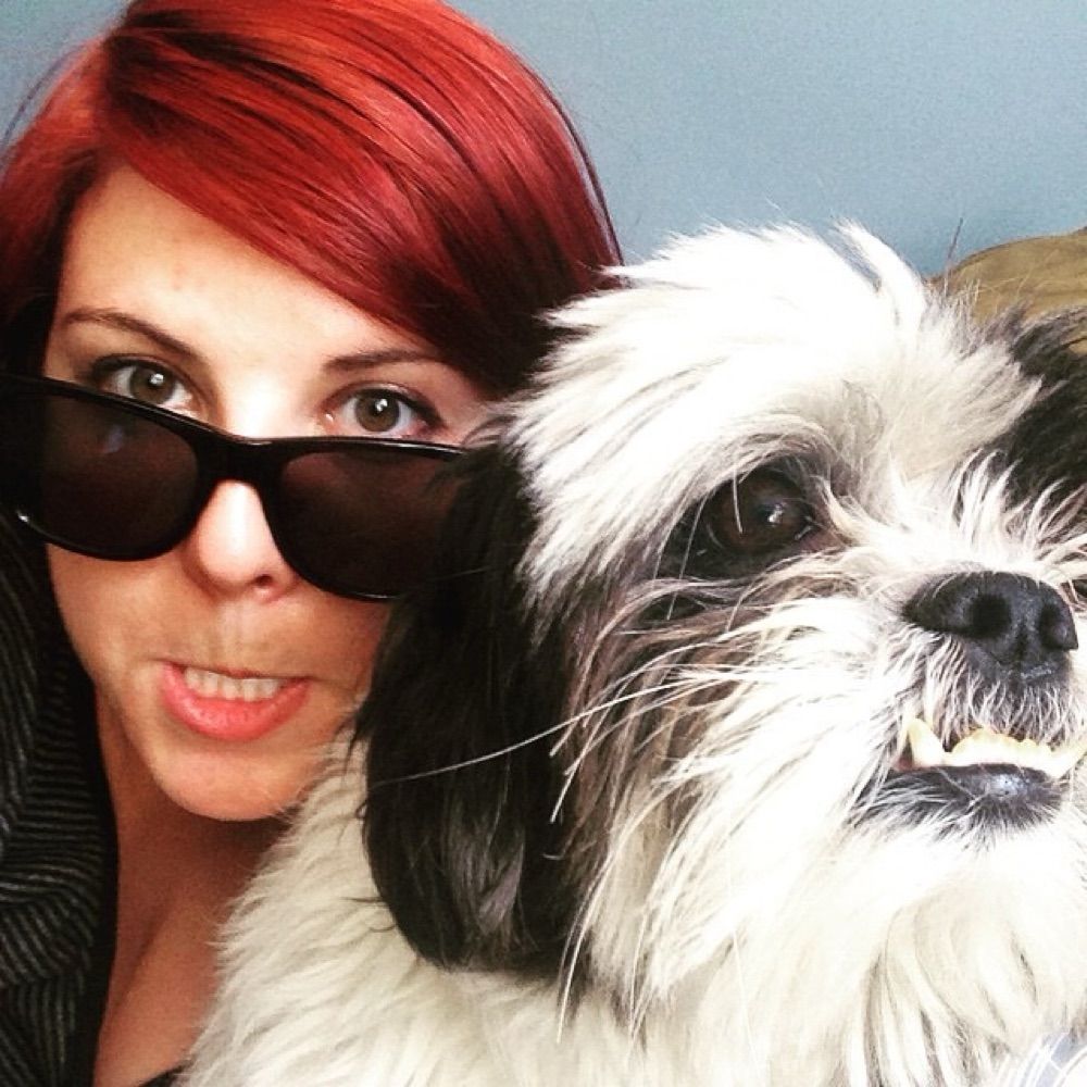Gonzo Dog