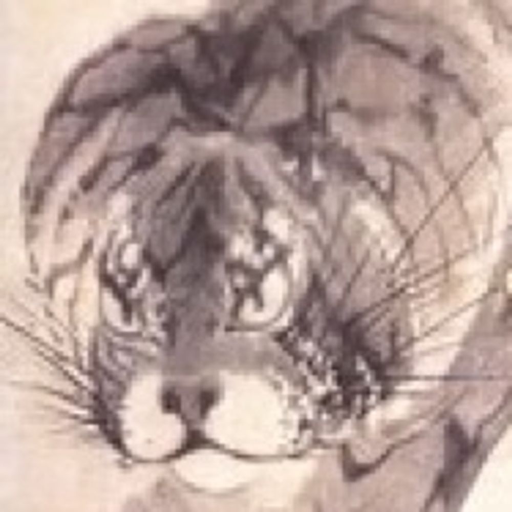 そできり